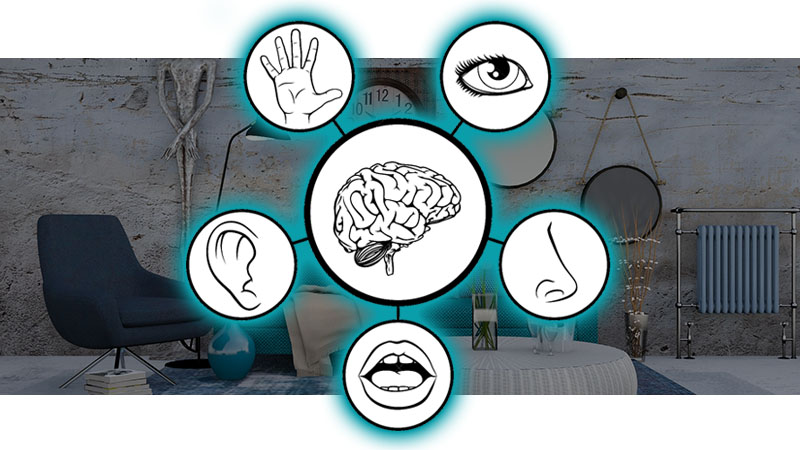 prikkel je zintuigen